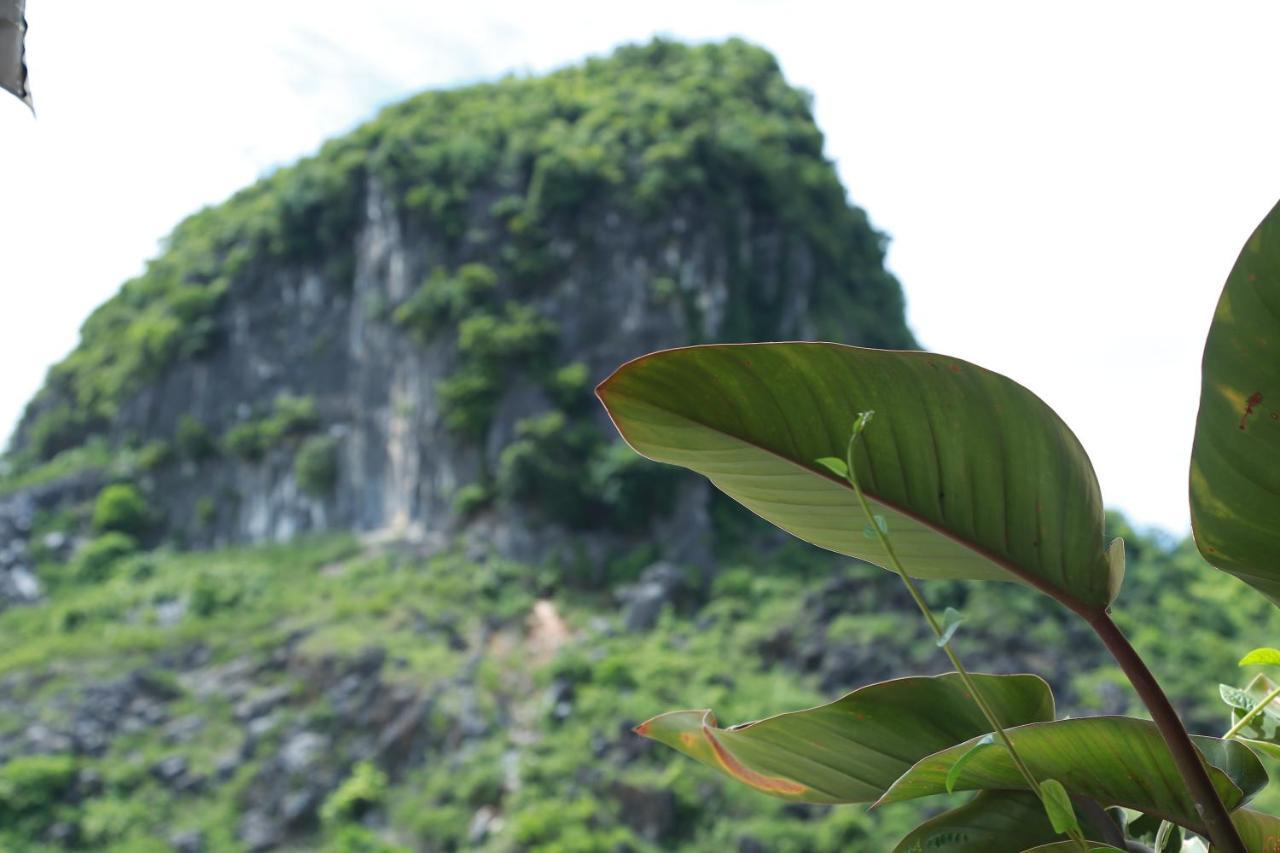 Thanh Phat Phong Nha Hotel Bagian luar foto